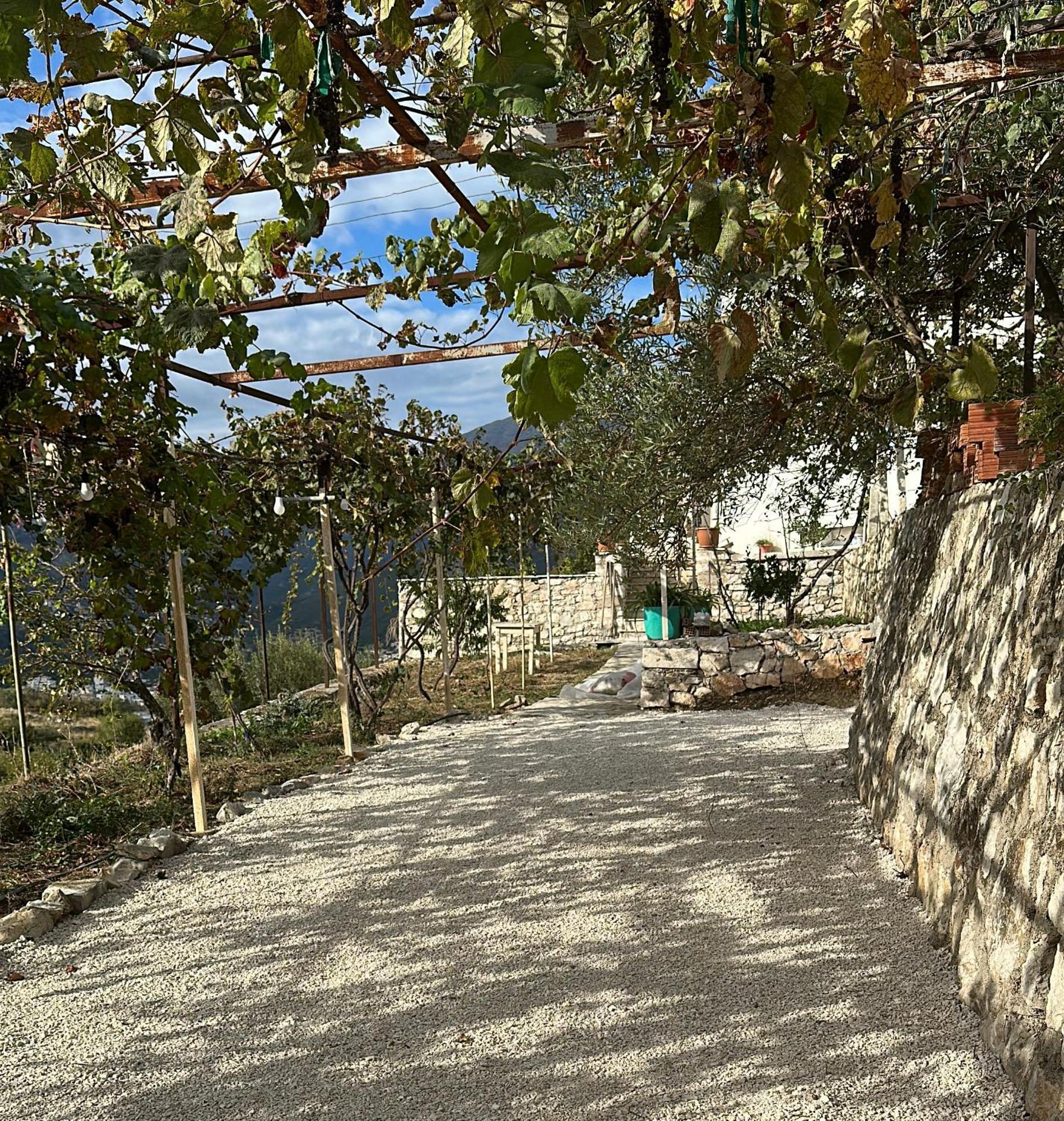 Hostel On The Hill - By Filikuri Beach Himare Exteriör bild